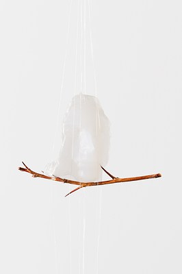 Image 6 of 13