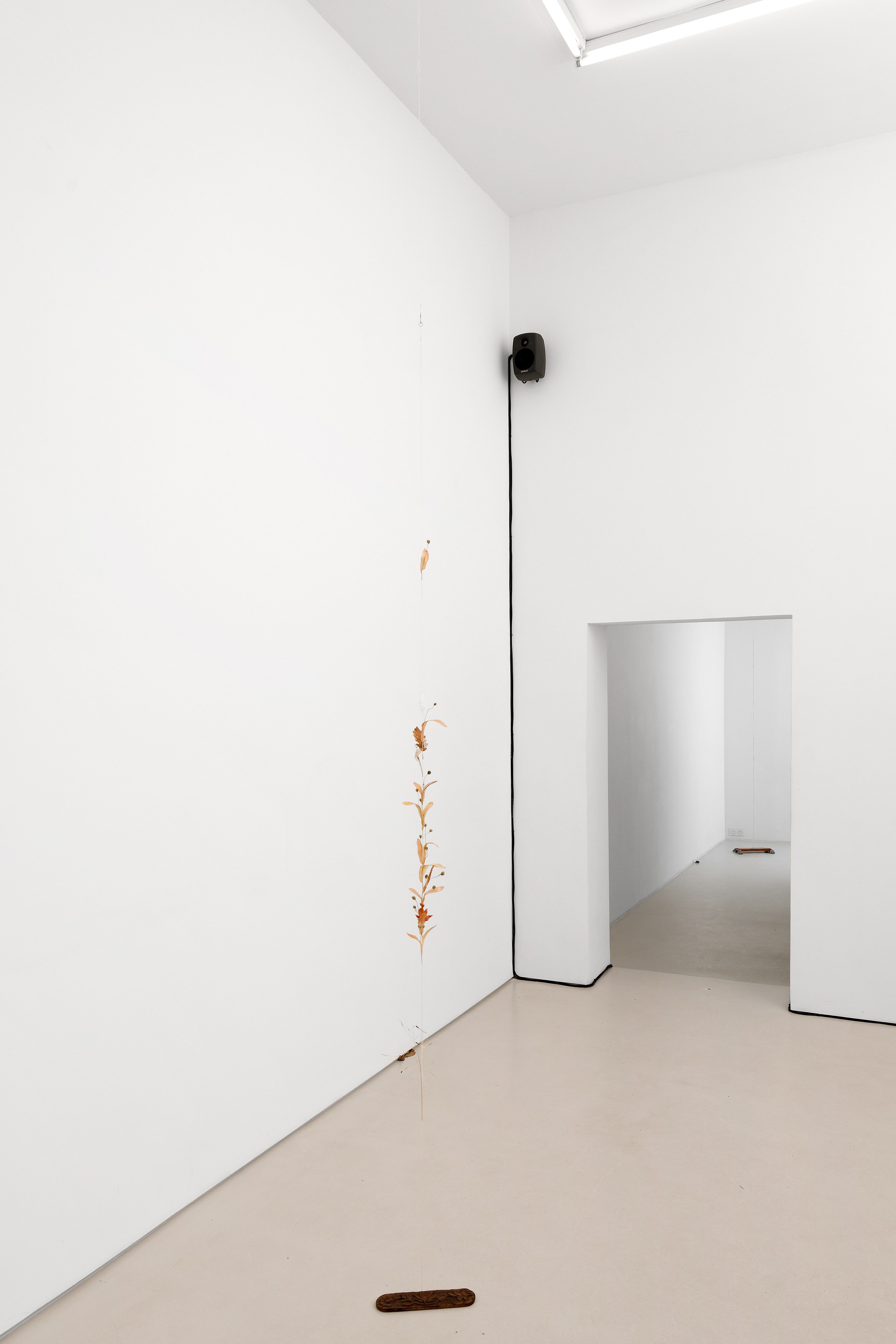 Kirill Savchenkov, The Stranded Horse and The Riderless Night at Galerie Allen, photo 8