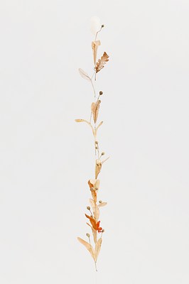 Image 10 of 13