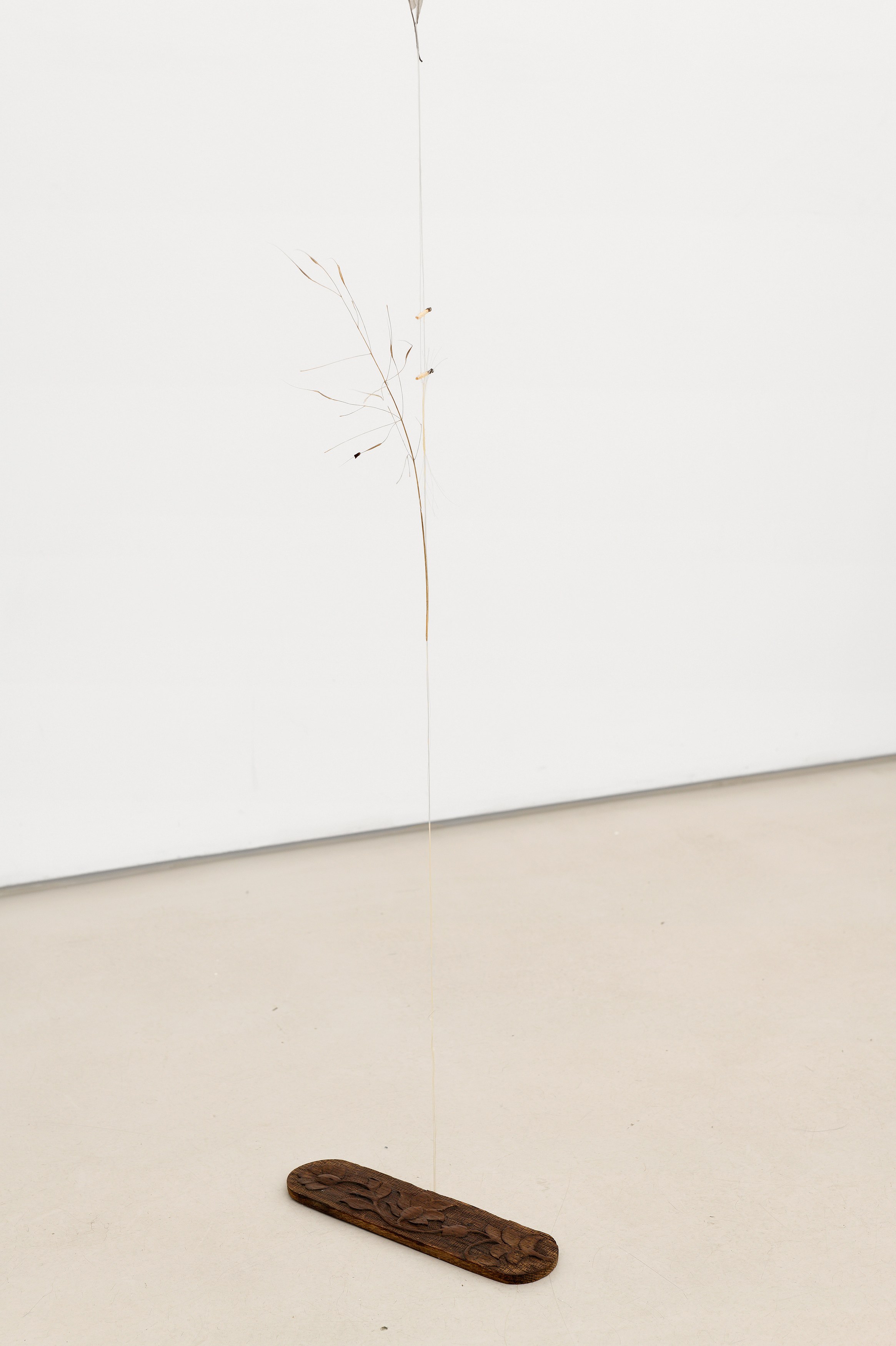 Kirill Savchenkov, The Stranded Horse and The Riderless Night at Galerie Allen, photo 11