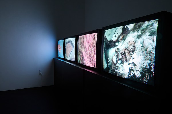 Image 1 of 14