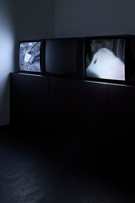 Image 6 of 14