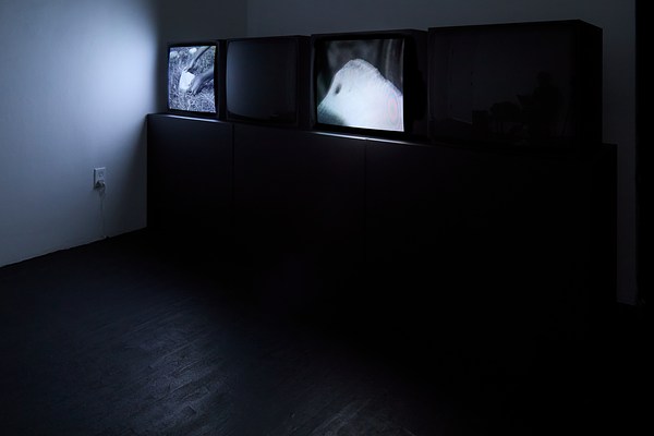 Image 7 of 14