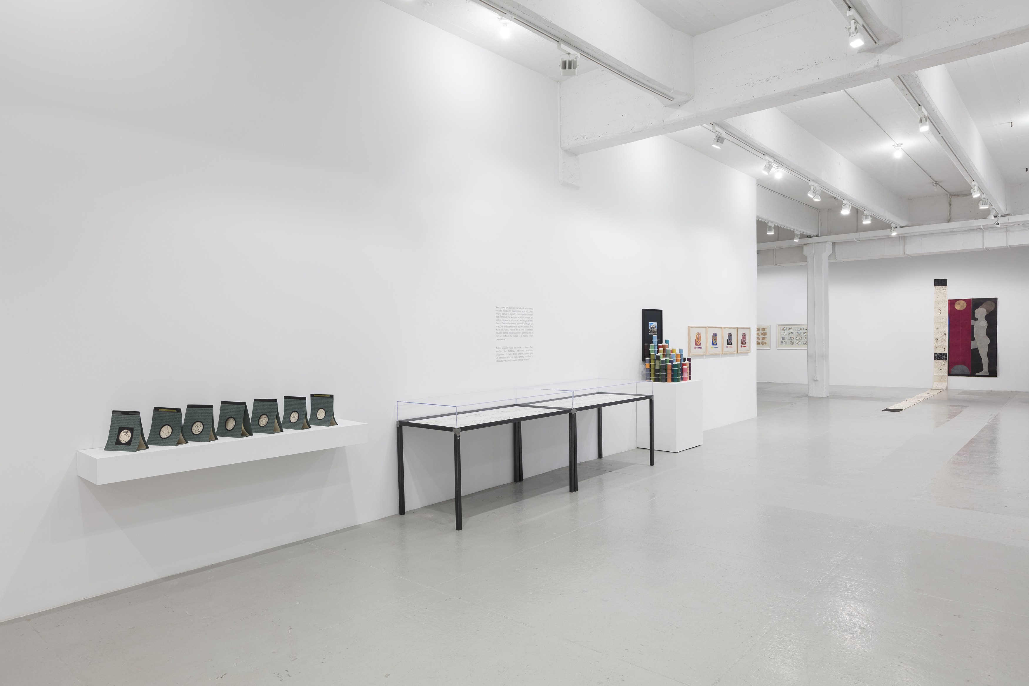 Geta Brătescu, The Leaps of Aesop at Hauser & Wirth, photo 4