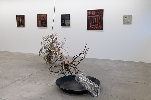 Image 4 of 16