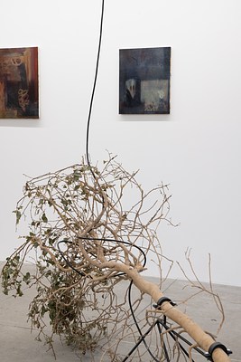 Image 5 of 16