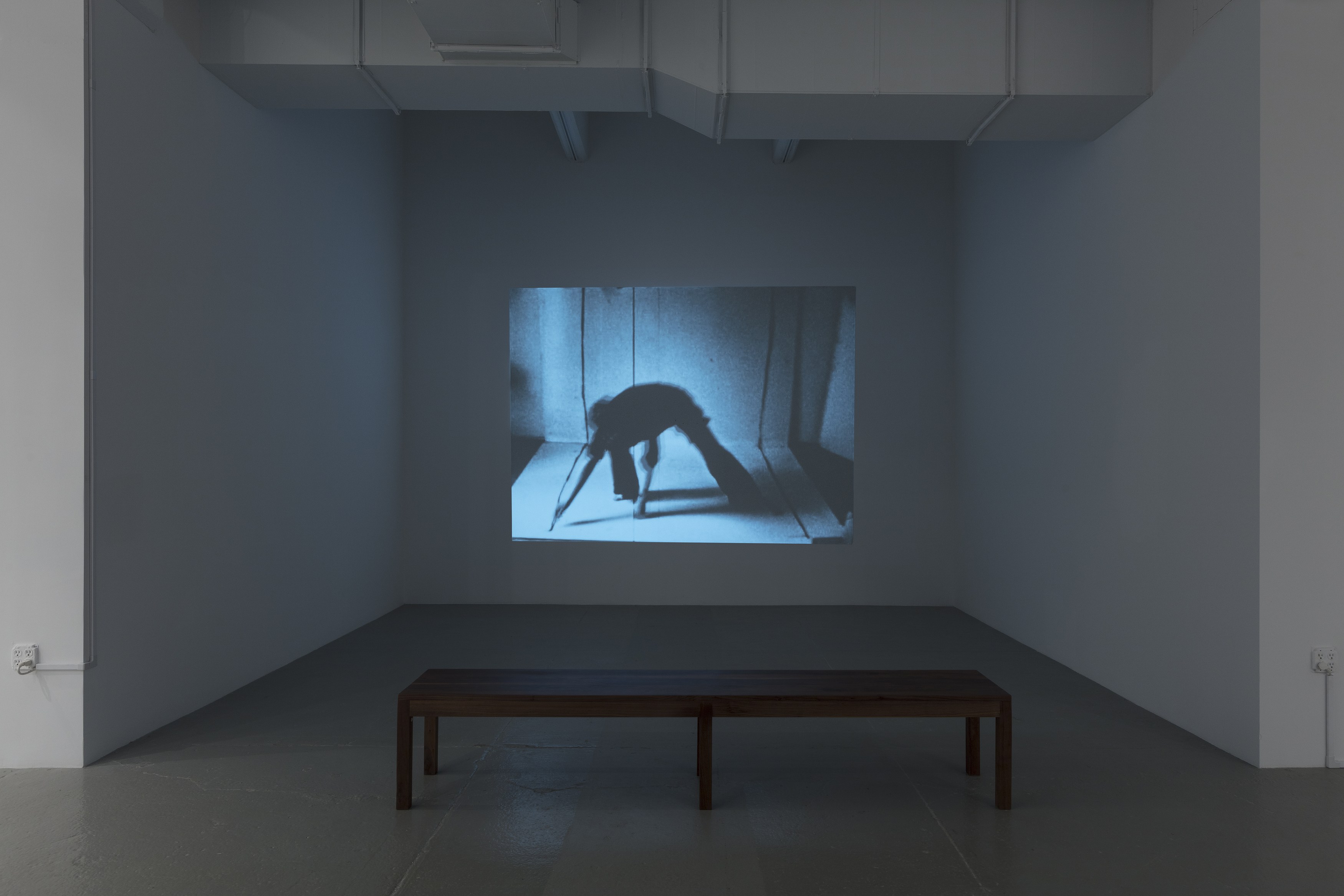 Geta Brătescu, The Leaps of Aesop at Hauser & Wirth, photo 10