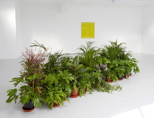 Image 2 of 16