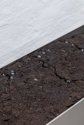 Image 27 of 35