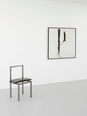 Image 4 of 16