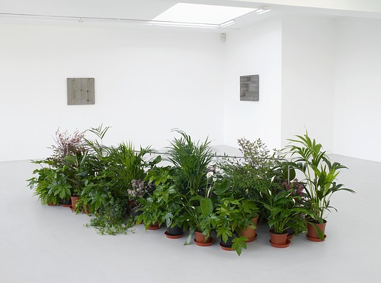 Image 7 of 16