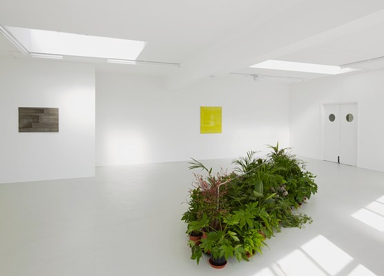 Image 10 of 16