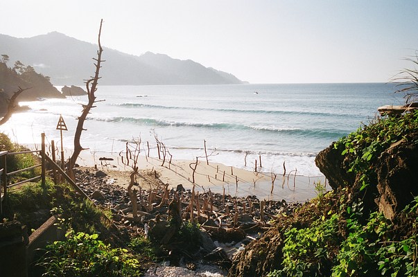 Image 36 of 37