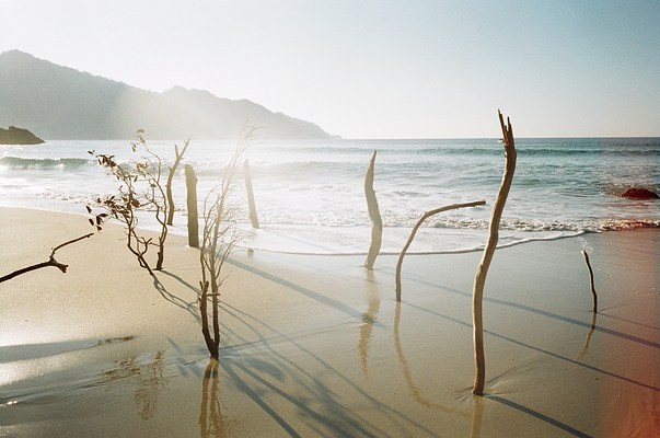 Image 37 of 37