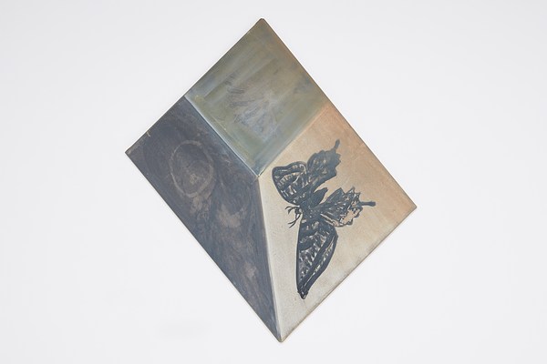 Image 16 of 20