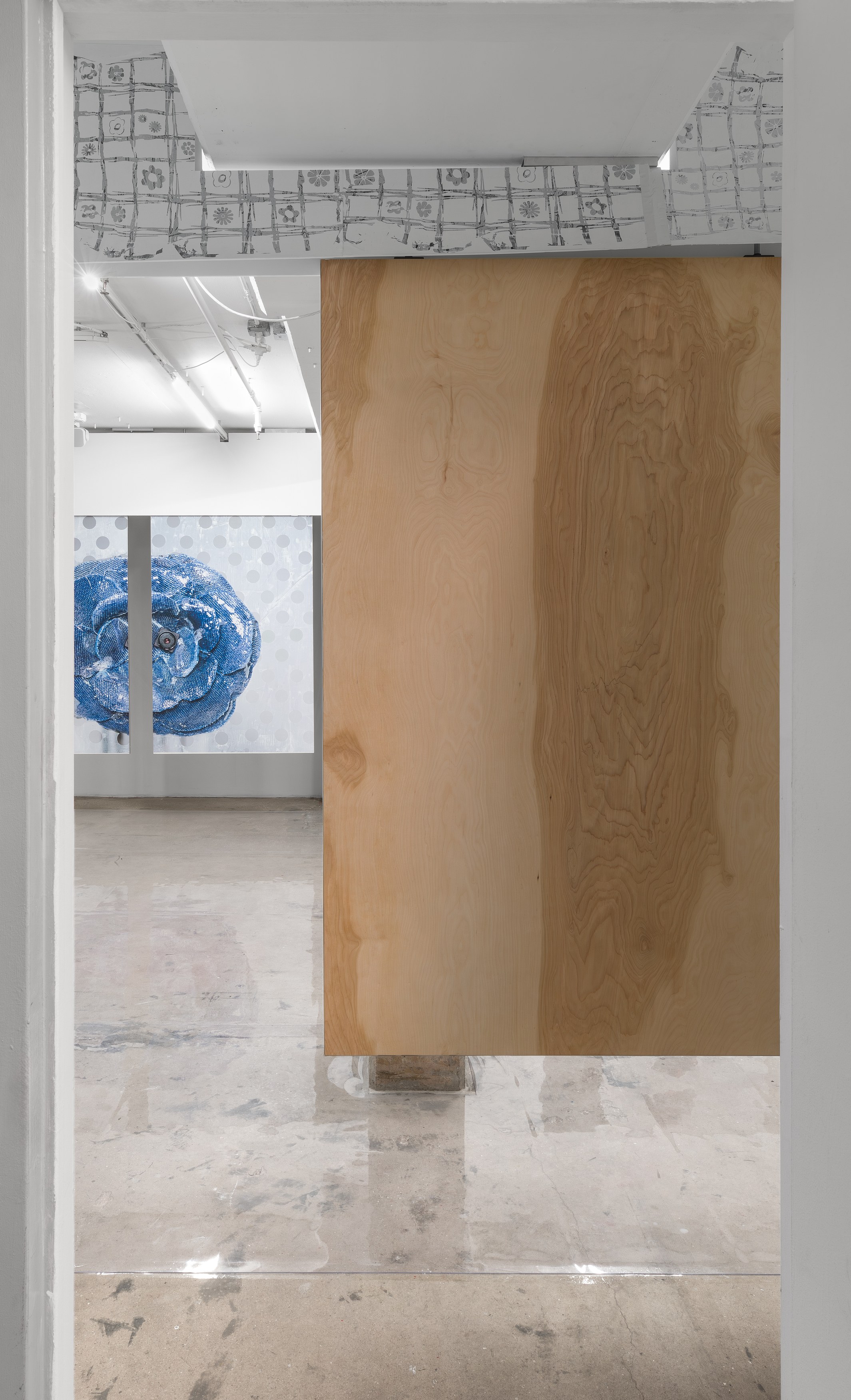 Lorenza Longhi, World of Yum Yum at Swiss Institute, photo 21