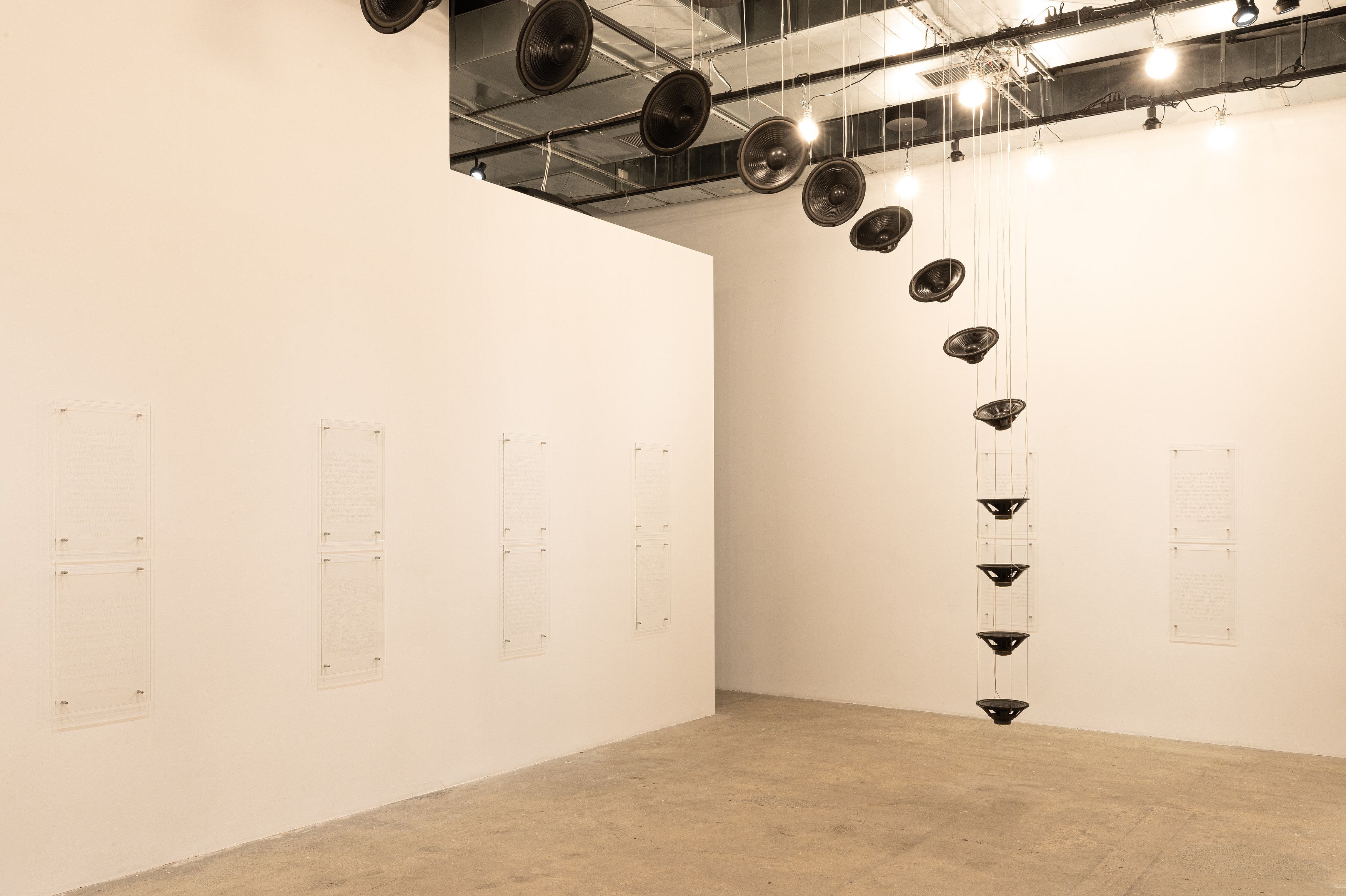 Raven Chacon, A Worm’s Eye View from a Bird’s Beak at Swiss Institute, photo 2