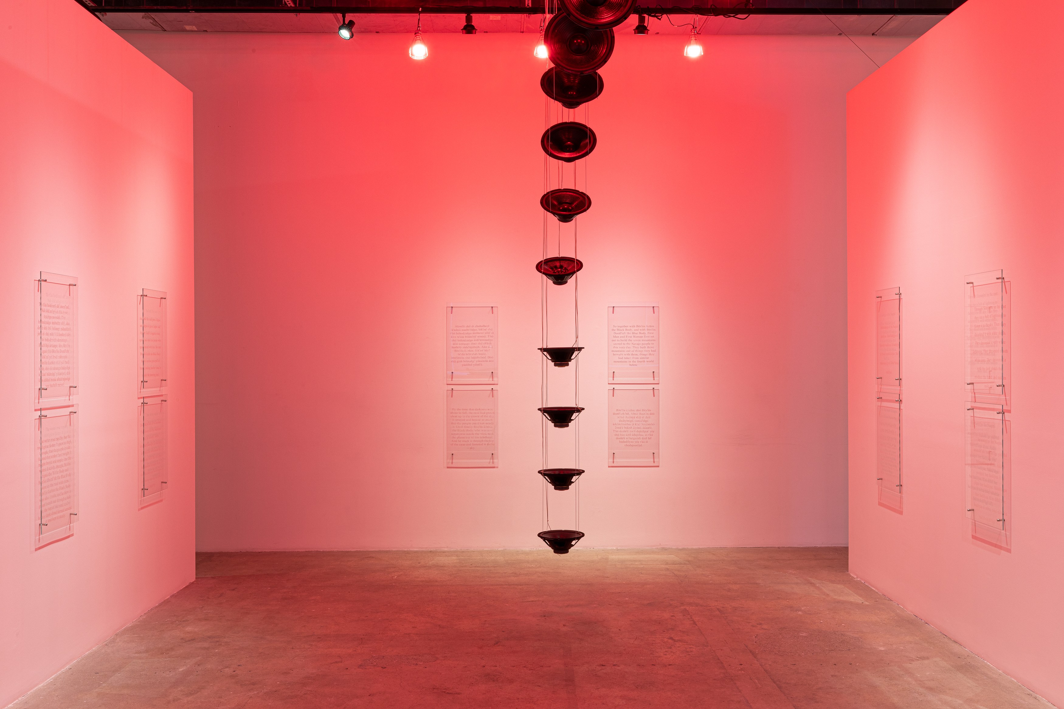 Raven Chacon, A Worm’s Eye View from a Bird’s Beak at Swiss Institute, photo 3