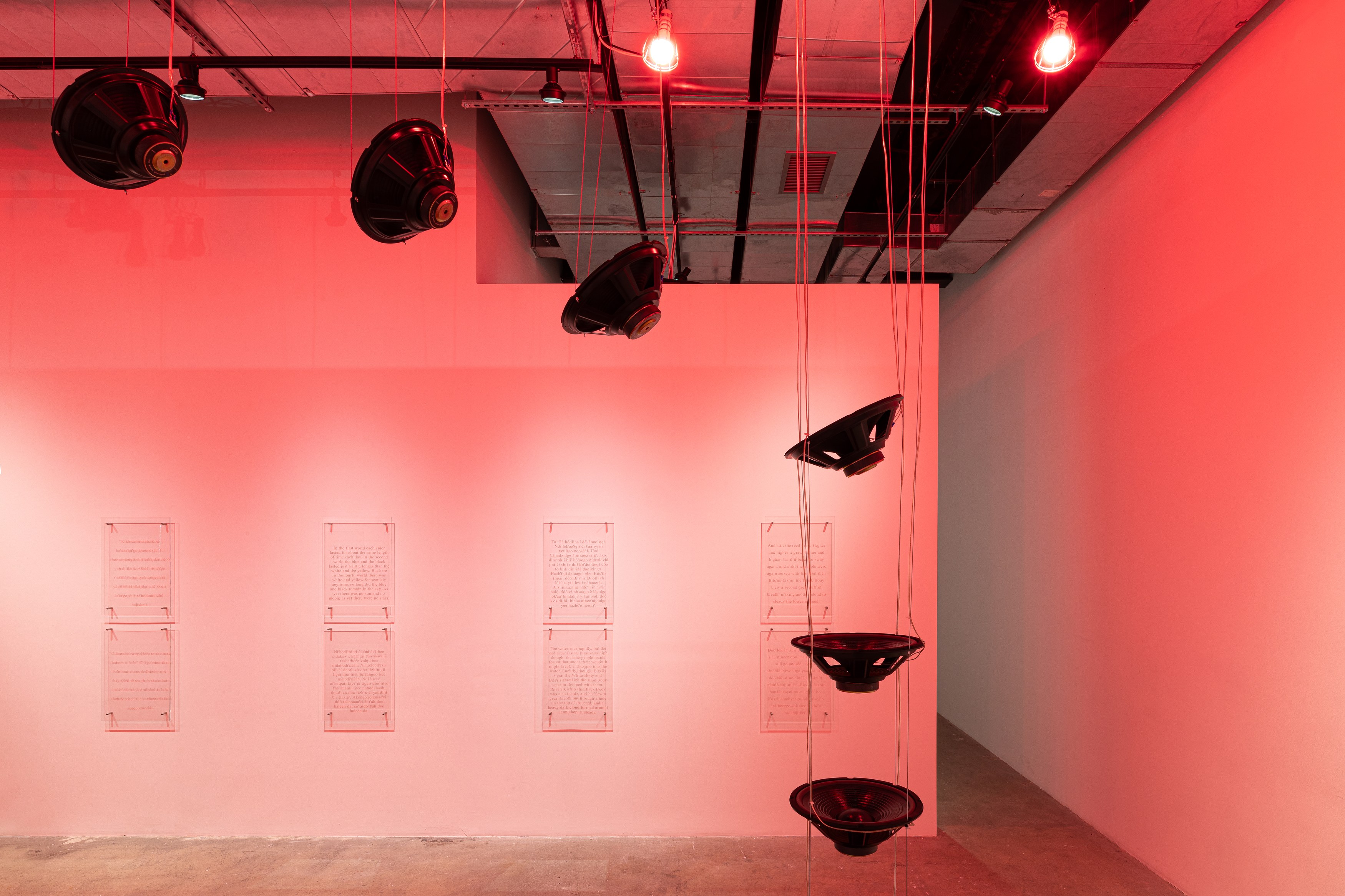 Raven Chacon, A Worm’s Eye View from a Bird’s Beak at Swiss Institute, photo 6