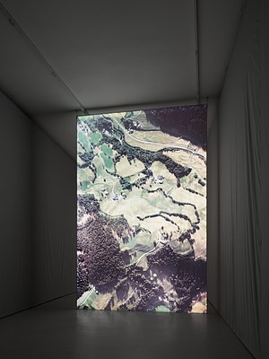 Image 6 of 26