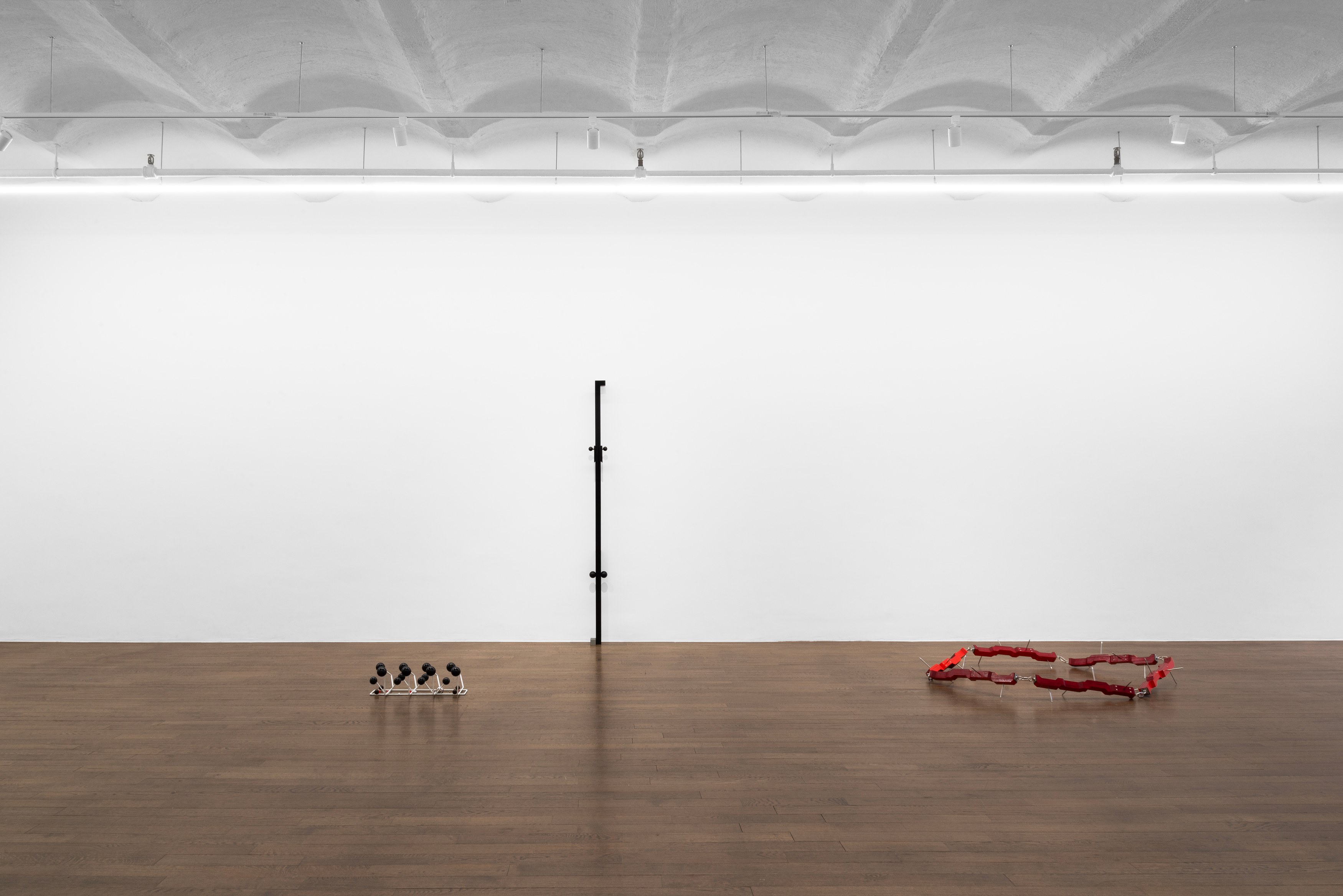 Naoki Sutter-Shudo, Physical at Derosia, photo 11