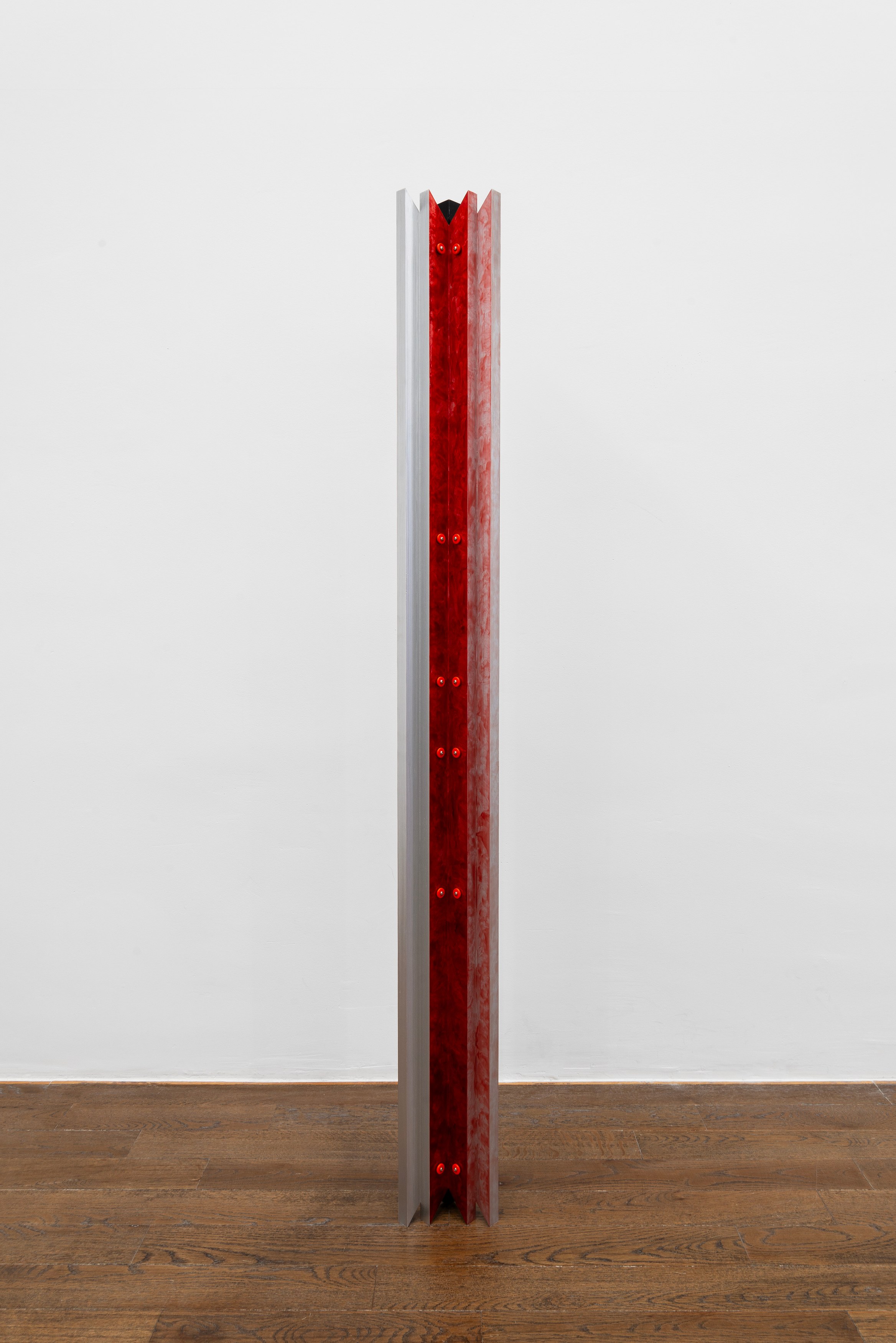 Naoki Sutter-Shudo, Physical at Derosia, photo 20