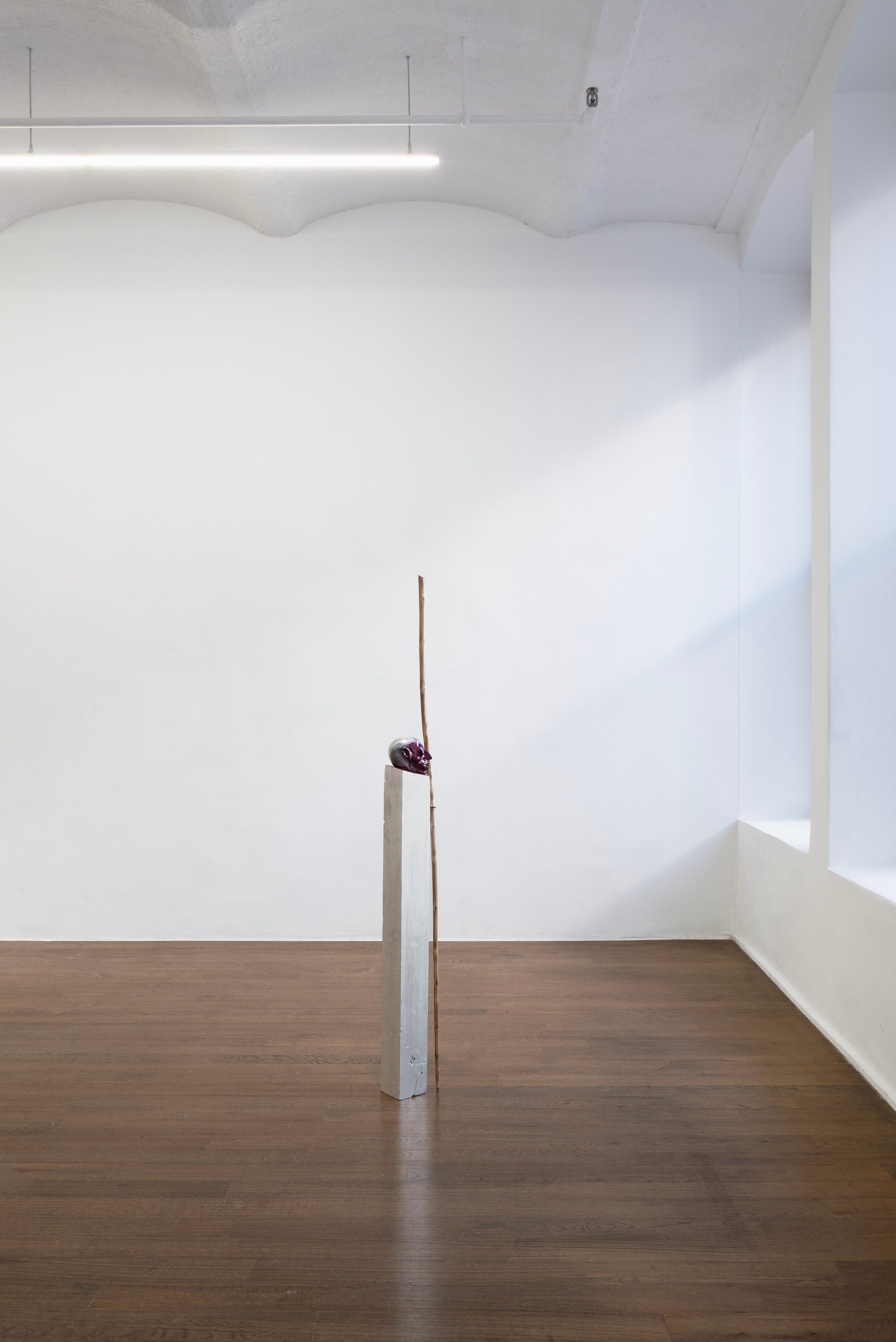 Naoki Sutter-Shudo, Physical at Derosia, photo 35