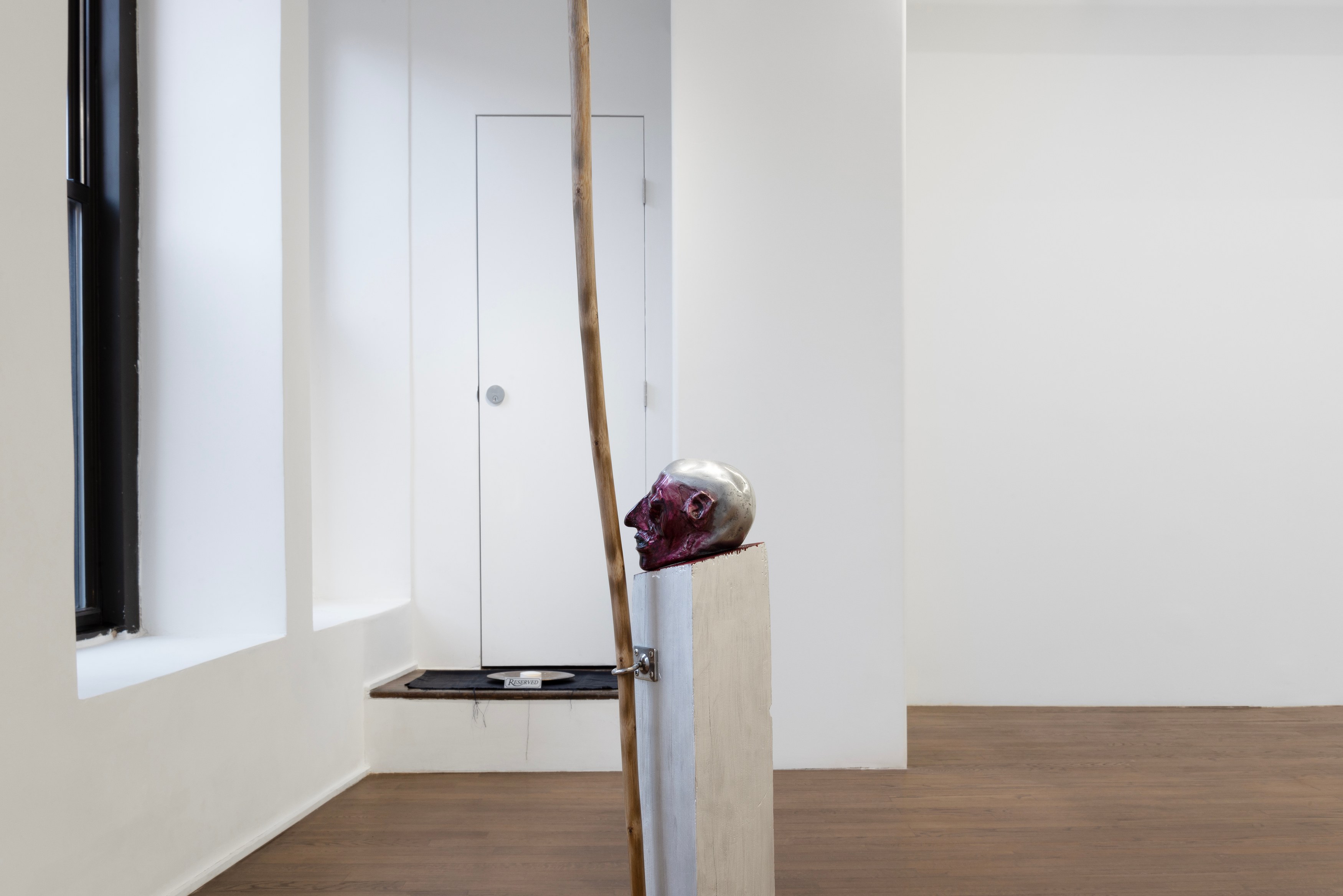 Naoki Sutter-Shudo, Physical at Derosia, photo 36