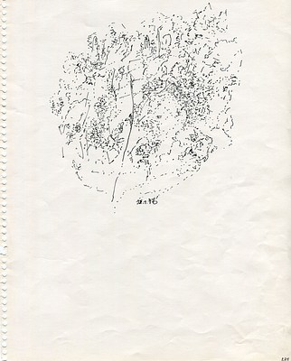 Image 34 of 41