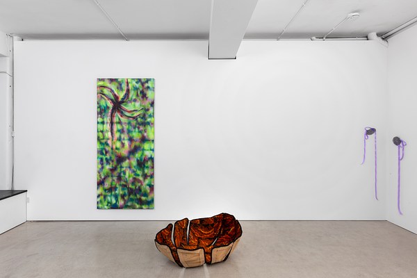 Image 1 of 20