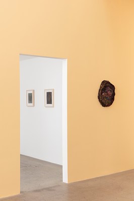 Image 15 of 80