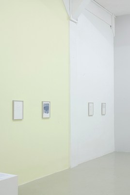 Image 14 of 29