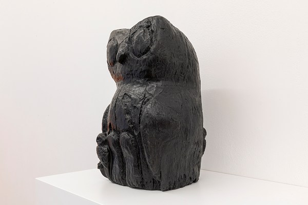 Image 6 of 19