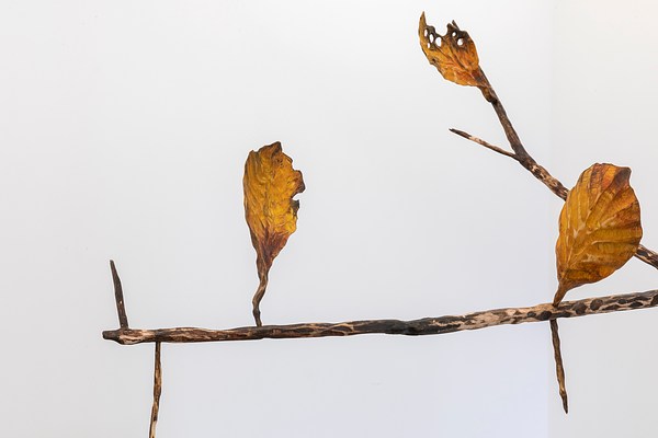 Image 10 of 19
