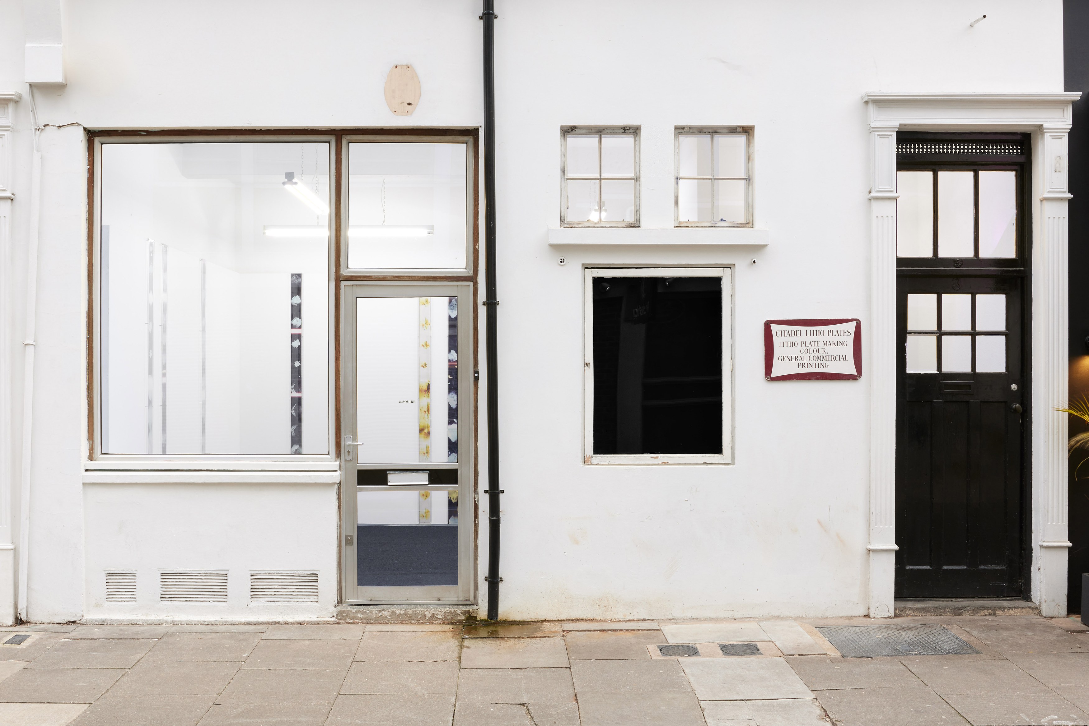 Nina Porter, Vision on the Run at A. Squire, photo 2