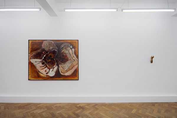 Image 10 of 23