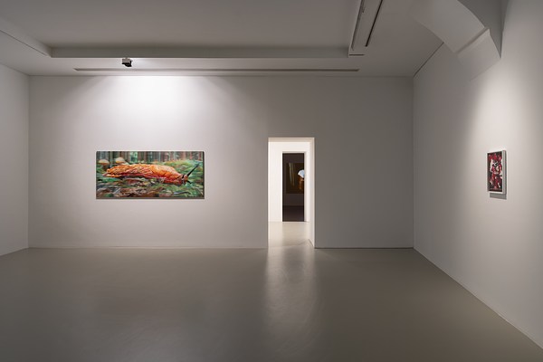 Image 4 of 24