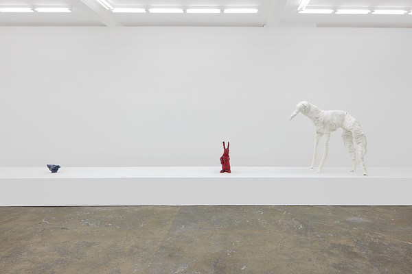 Image 7 of 20