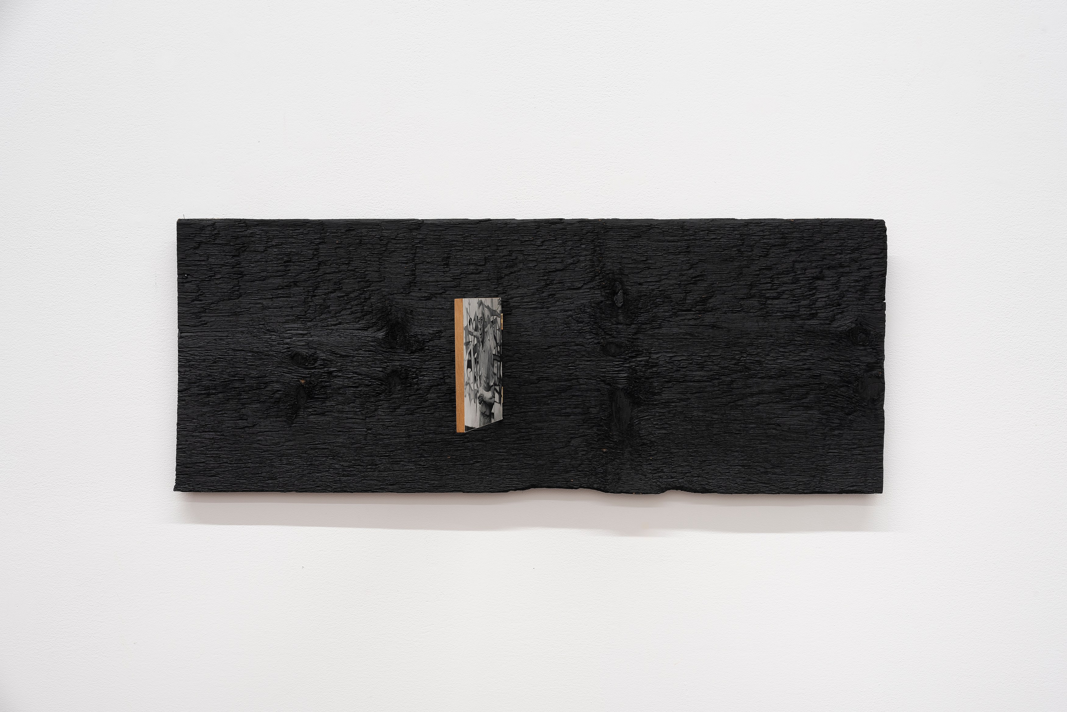 Cheryl Donegan, Will Rogan, Untitled at Michael Benevento Gallery, photo 30