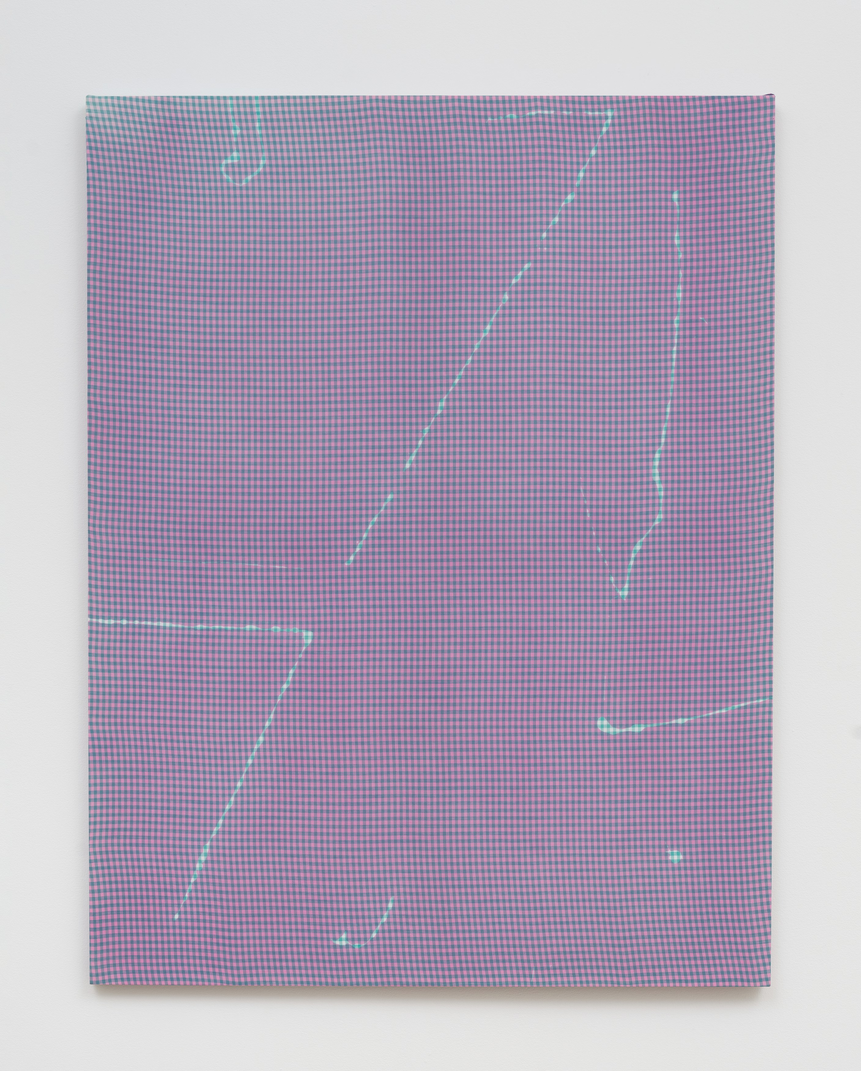 Cheryl Donegan, Will Rogan, Untitled at Michael Benevento Gallery, photo 38