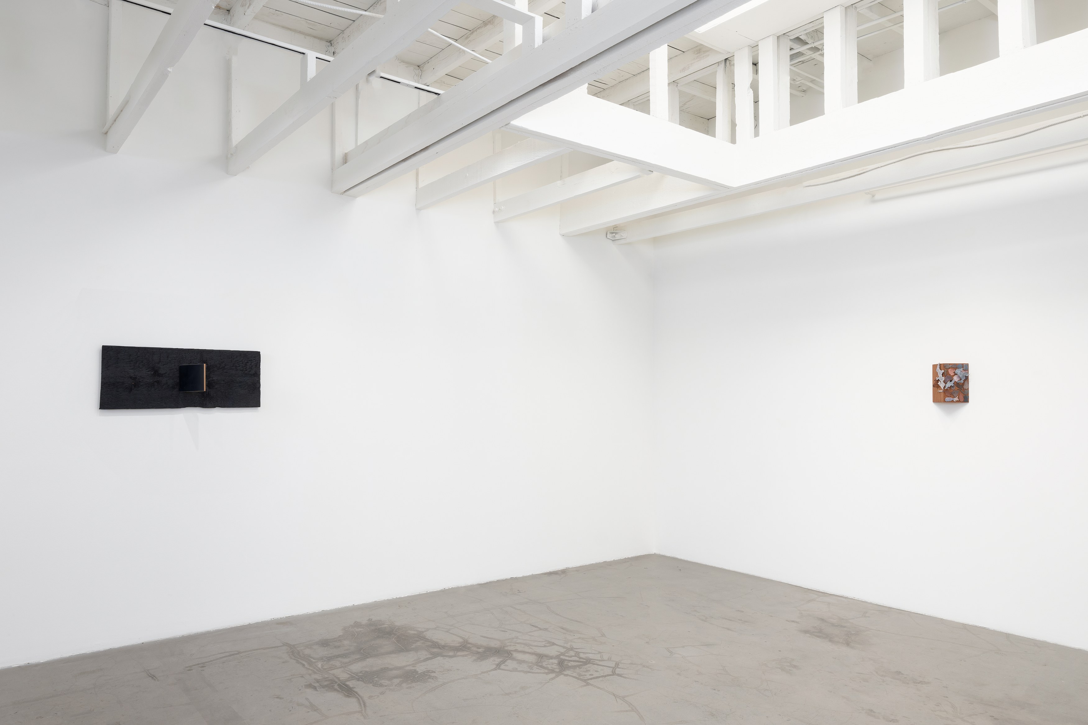Cheryl Donegan, Will Rogan, Untitled at Michael Benevento Gallery, photo 32