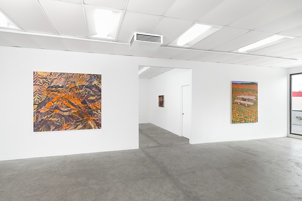 Image 4 of 46
