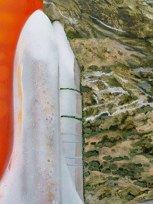 Image 31 of 46