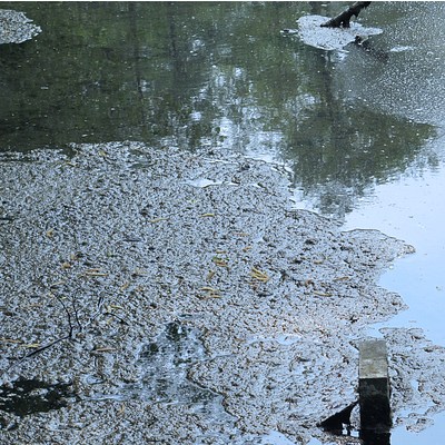 Image 13 of 37