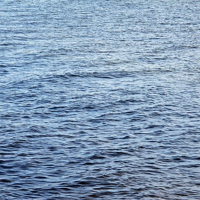 Image 20 of 37