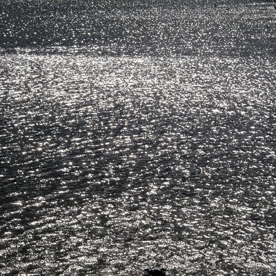 Image 23 of 37