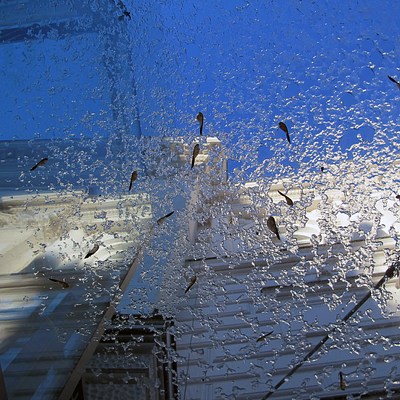 Image 24 of 37