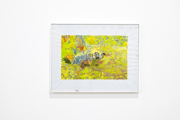 Image 11 of 26
