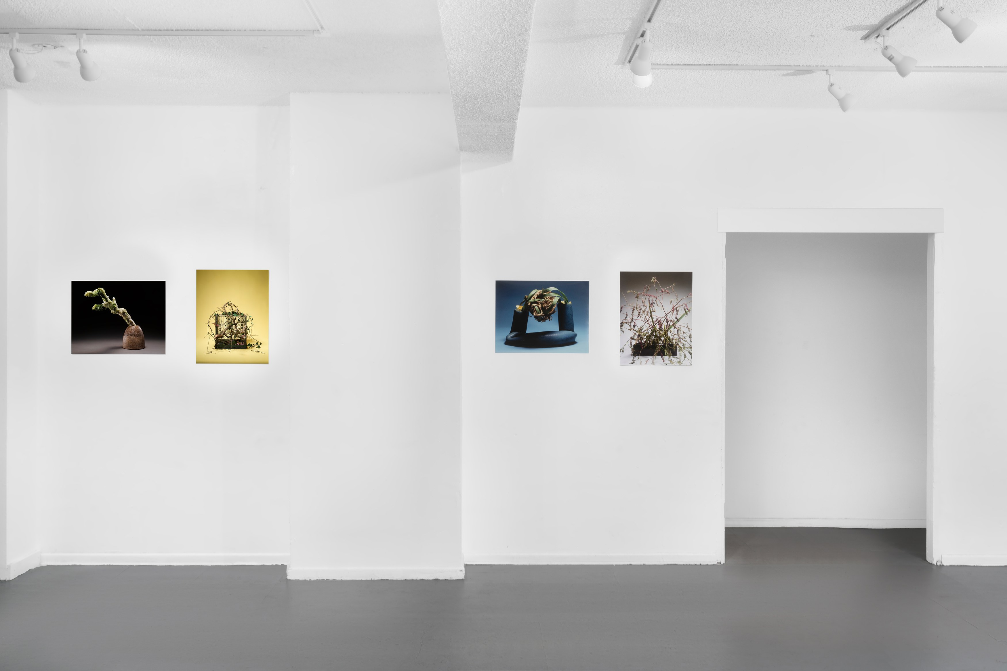 Christian Kōun Alborz Oldham, Selections from the Photographic Archive of Kosen Ohtsubo, Presented by Christian Kōun Alborz Oldham, and in cooperation with Kosen Ohtsubo, Ryu- sei-ha, and Empty Gallery at Soldes, photo 3