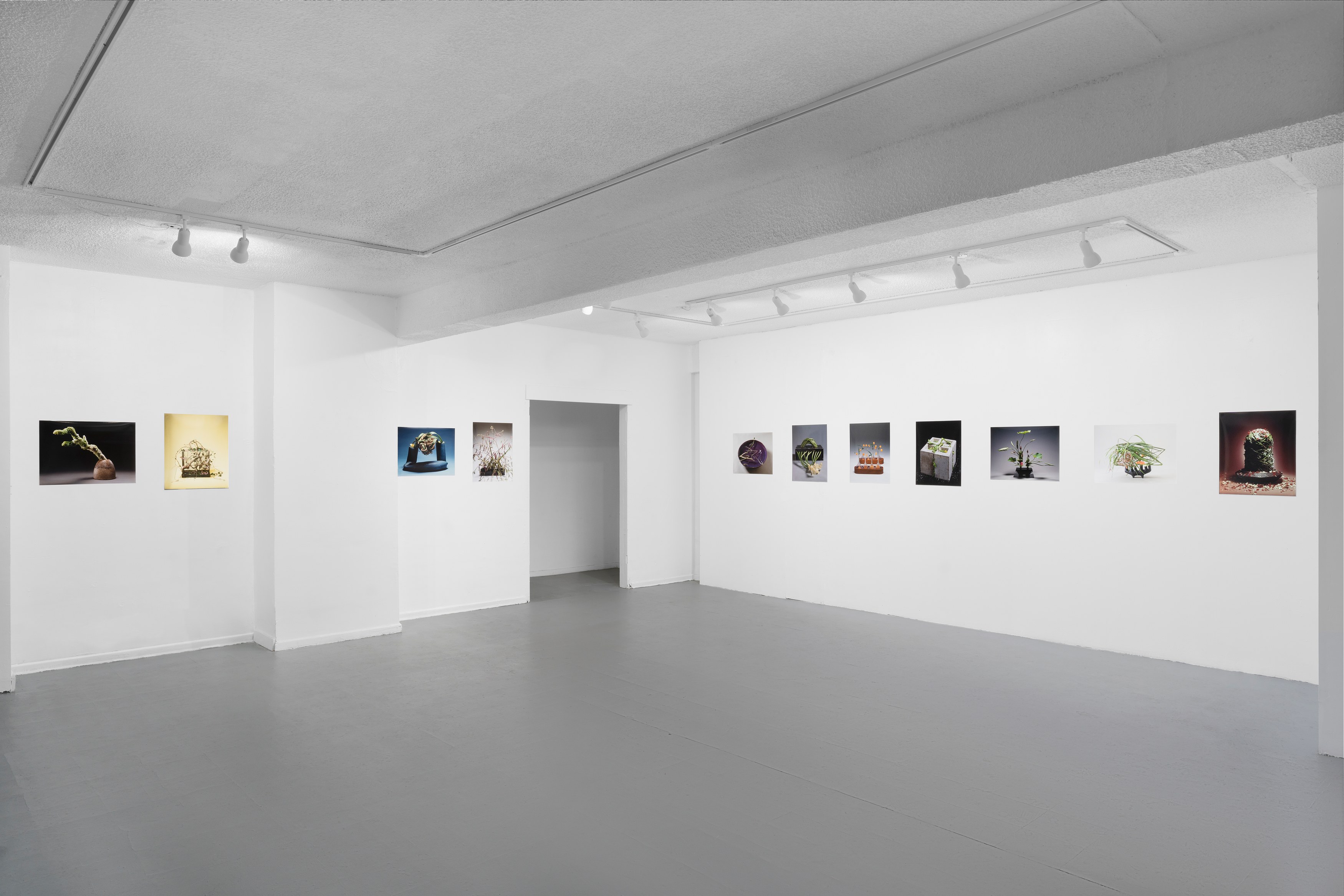Christian Kōun Alborz Oldham, Selections from the Photographic Archive of Kosen Ohtsubo, Presented by Christian Kōun Alborz Oldham, and in cooperation with Kosen Ohtsubo, Ryu- sei-ha, and Empty Gallery at Soldes, photo 4